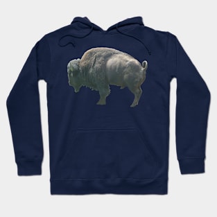 American bison Hoodie